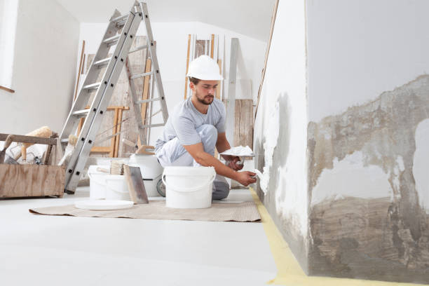 Best Water Damage & Mold Remediation  in Landover Hills, MD