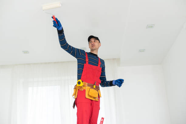 Best Real Estate Mold Inspection  in Landover Hills, MD