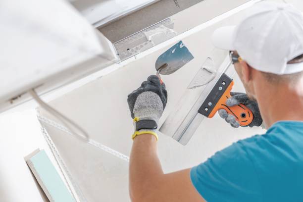 Best Black Mold Removal  in Landover Hills, MD